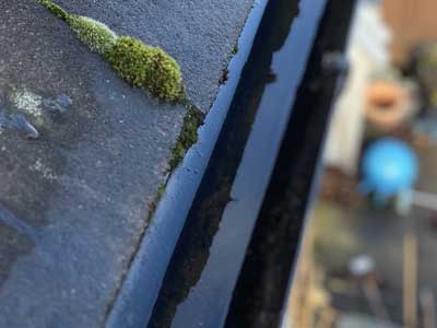 Clean gutter