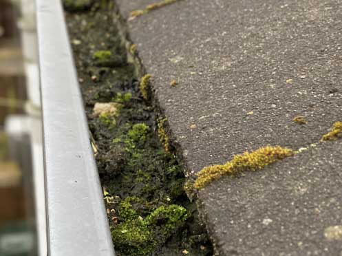 Clean gutter